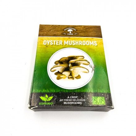 Домашняя грибная ферма Mushrooms Farm оптом 
