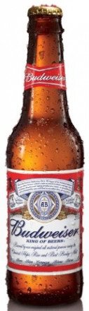 Пиво светлое Budweiser 5% 0.5л оптом 