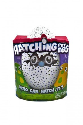 Игрушка Hatching Pet Egg оптом 