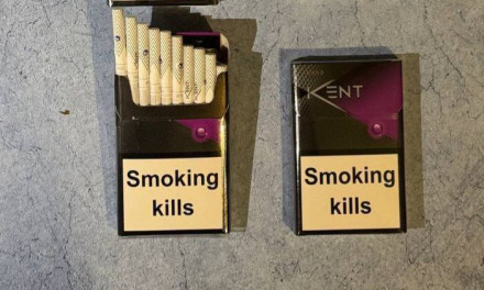 Сигареты Kent Nano MIX оптом   