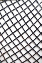 Колготки женские Fashion оптом