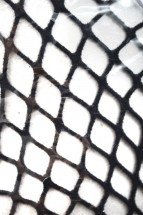 Колготки женские Fashion оптом