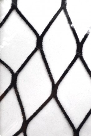 Колготки женские Fashion оптом 