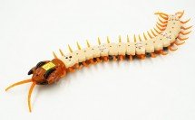 Сколопендра на пульте управления 40 см оптом