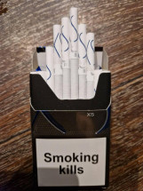 Сигареты WN XS Blue Duty Free оптом