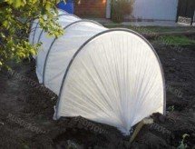 Парник &quot;Дивный сад&quot; ПВХ 8 м купить оптом