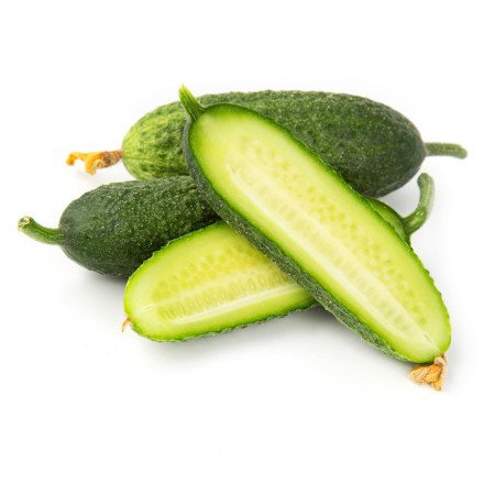 Огурцы Луховицкие свежие 0,5-1 кг оптом 