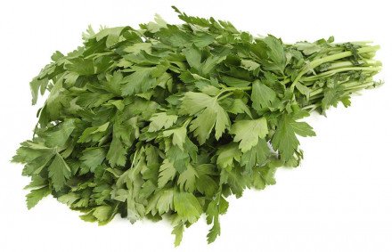Петрушка свежая 100 г оптом 