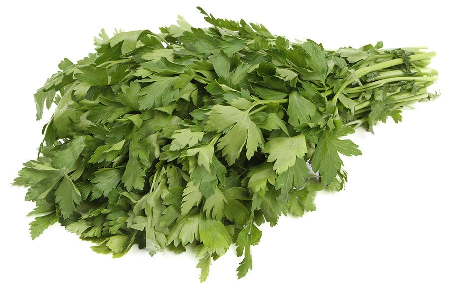 Петрушка свежая 100 г оптом 