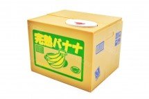 Копилка Котик Piggy Bank оптом