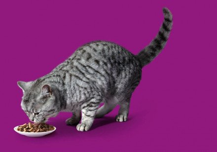 "Whiskas", рагу с говядиной и ягненком, 85 г 