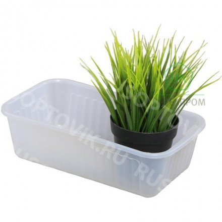 Ящик для рассады оптом 